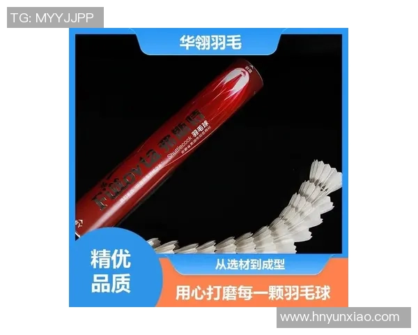 全面解析羽毛球器材品牌大全助你选择最适合的装备提升竞技水平